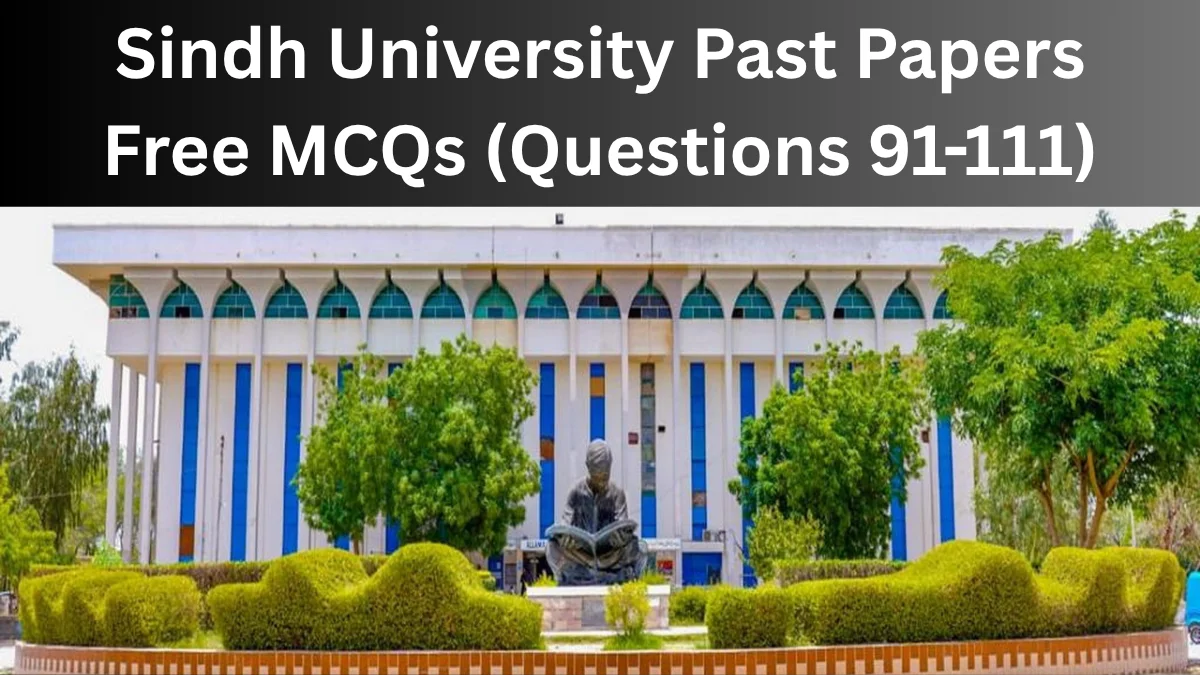 Sindh University Past Papers: Free MCQs Exam Prep Guide (Questions 91-111)